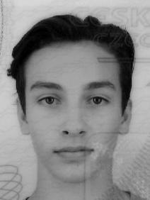 Results profile